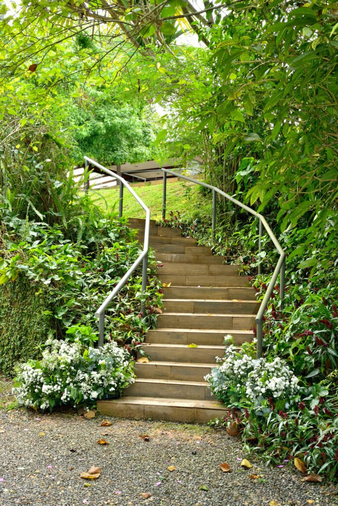 terraço da mata (4)